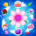 Flower Games - Bubble Pop Mod