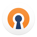 OpenVPN Connect – Fast & Safe SSL VPN Client APK