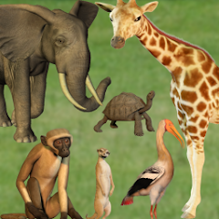 Click! Zoo Mod