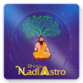 Bhrigu Nadi Touch APK