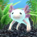 My Axolotl Aquarium APK