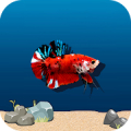 Flappy Betta APK