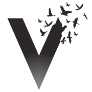 v4freedom