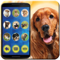 Translator for dogs joke APK