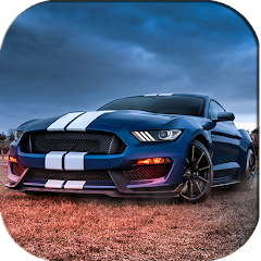 Mustang Driving & Parking & Ra Mod