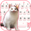 Funny Cat Face Keyboard Backgr APK