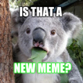 Meme Downloader - Funny Gifs, APK