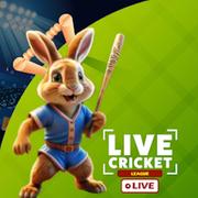 RTS Cricket - Live Cricket TV Mod Apk