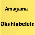 Amagama Okuhlabelela APK