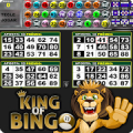 King of Bingo - Video Bingo Mod