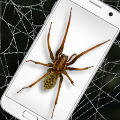 Spider in Phone Funny Joke Mod Apk