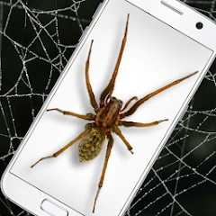 Spider in Phone Funny Joke Mod Apk [Remove ads][Mod speed]