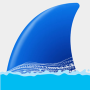 WireShark Mod Apk