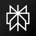 Perplexity - Ask Anything icon