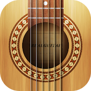 Real Guitar: acoustic electric Mod