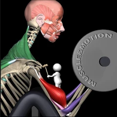 Strength Training by M&M Mod Apk 2.3.3 