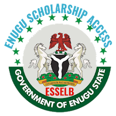 Enugu Scholarship Access Mod