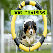 How to train puppies Mod