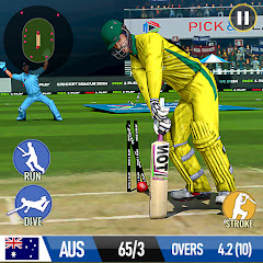 Cricket Game: Bat Ball Game 3D Mod