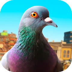 Pigeon Mod Apk [Remove ads][Mod speed]