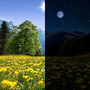 Summer Dandelion Live Wallpap Mod Apk [Remove ads][Mod speed]