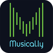 Magic.ly : MusicBit Lyrical Video Status Maker Mod