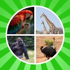 Animal Name Learning Game