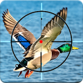 Duck Hunter 3d Birds Shooting Mod