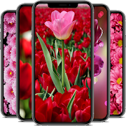 Flower Wallpapers HD Mod