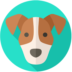 MR. DOG Mod