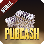 Pubcash Mod