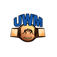 Ultimate Wrestling 2 Mod