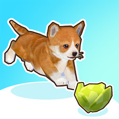 Pet Runner Мод APK