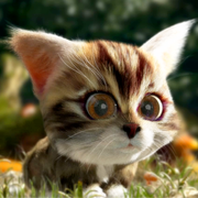 Kitty Quest Mod Apk 0.81 