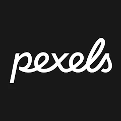 Pexels: HD+ videos & photos Mod APK