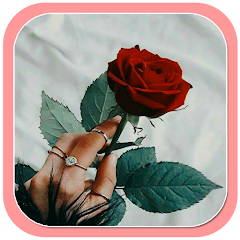 Red Rose Flowers Wallpaper Mod