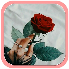 Red Rose Flowers Wallpaper Mod Apk [Remove ads][Mod speed]