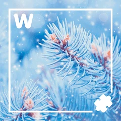7000 words. Winter Mod Apk [Remove ads][Mod speed]