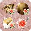 LAISSE PASSE-Gold Icon & WP Mod