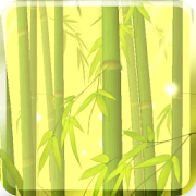 Bamboo Forest Live Wallpaper