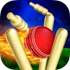 RunOut Master - Cricket World Cup 2019‏ Mod Apk 1.61 