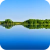 Summer Lake Live Wallpaper Mod Apk [Paid for free][Free purchase]