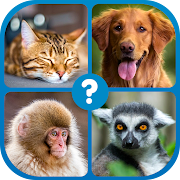 Guess the Word : Word Puzzle Mod