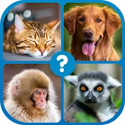 Guess the Word : Word Puzzle Mod Apk [Free purchase][Mod speed]