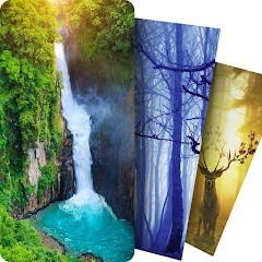 Live Wallpapers HD 2023 Mod Apk [Remove ads][Mod speed]