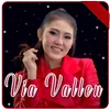 Via Vallen Meraih Bintang