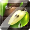 Fruit Slice icon