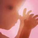 Pregnancy ++ Mod Apk [Paid for free][Free purchase]