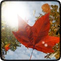 Folhas que caem activas Mod Apk [Paid for free][Free purchase]