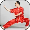 Kung Fu postures.